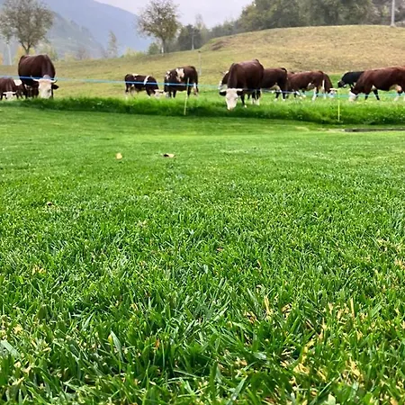 Maison Le Cré 4 Сasa de vacaciones