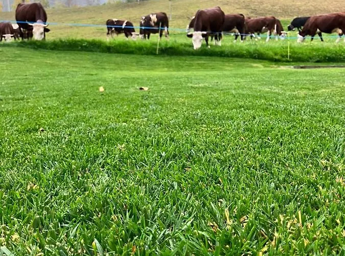 Maison Le Cre 4 度假居